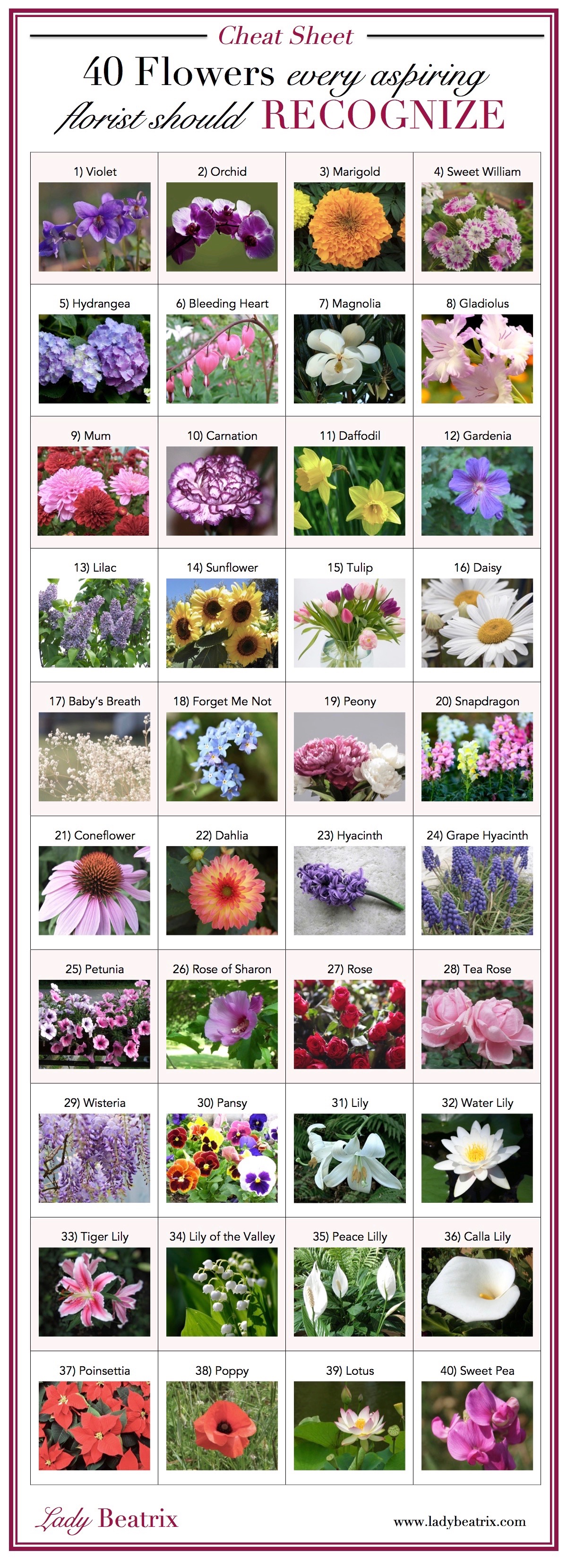 Flower Chart With Names And Pictures