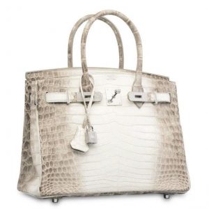 birkin_bag_expesnive-large_transpjliwavx4cowfcaekesb3kvxit-lggwcwqwla_rxju8